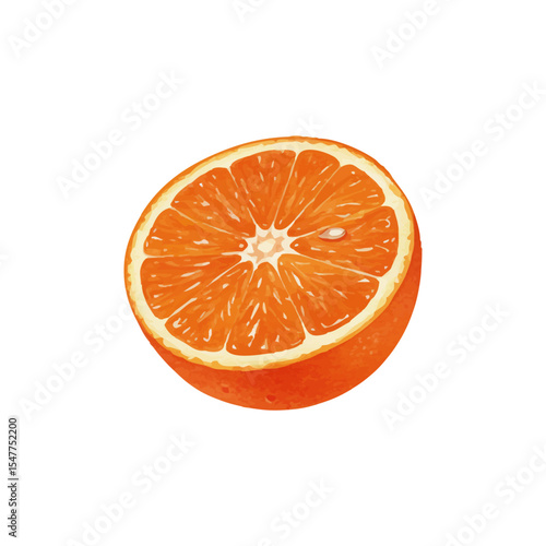 Vector watercolor Orange / 水彩テイストのオレンジイラスト