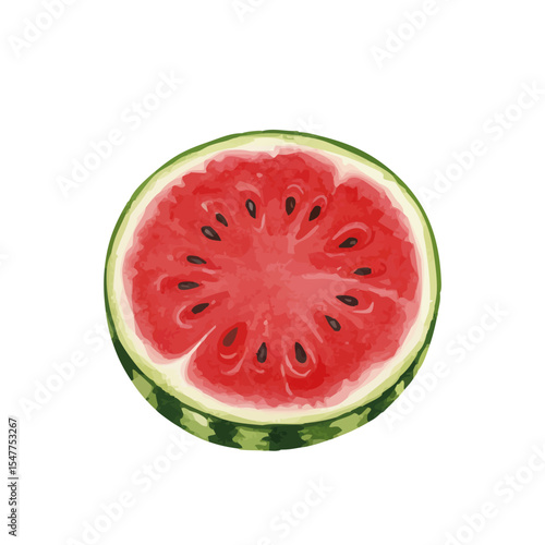 vector watercolor watermelon /水彩テイストのスイカイラスト