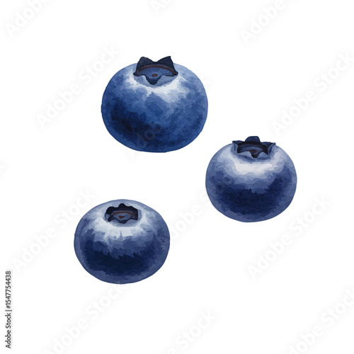 Vector watercolor Blueberry / 水彩テイストのブルーベリーイラスト