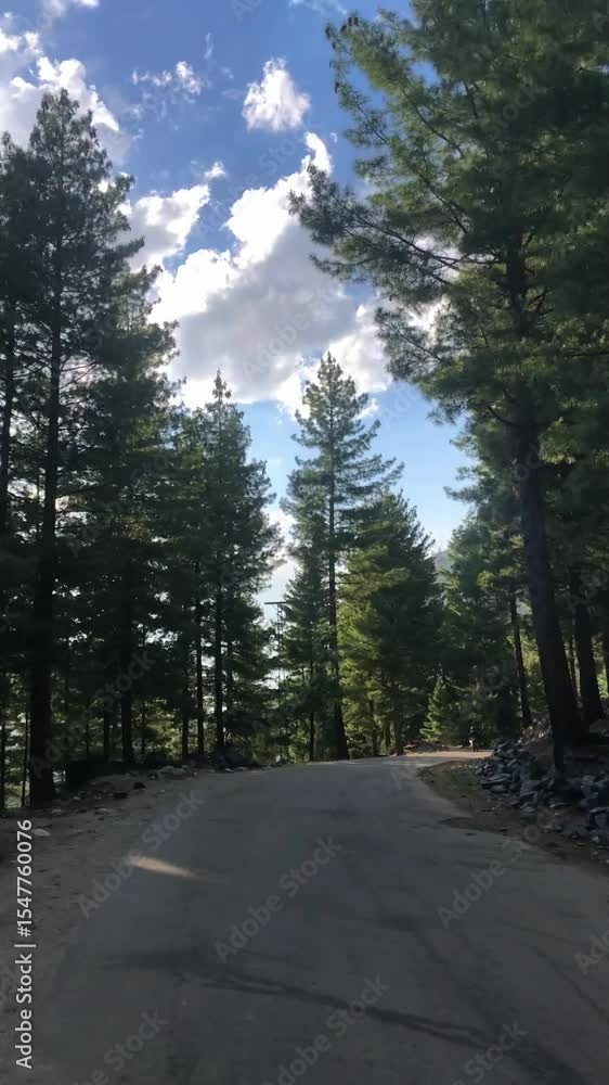 A scenic forest road near Minimarg, Domel, Pakistan, surrounded by tall trees forming a natural canopy. A peaceful and immersive travel scene, ideal for nature, driving, and cinematic visuals.
A scenic forest road near Minimarg, Domel, Pakistan, surrounded by tall trees forming a natural canopy. A peaceful and immersive travel scene, ideal for nature, driving, and cinematic visuals.