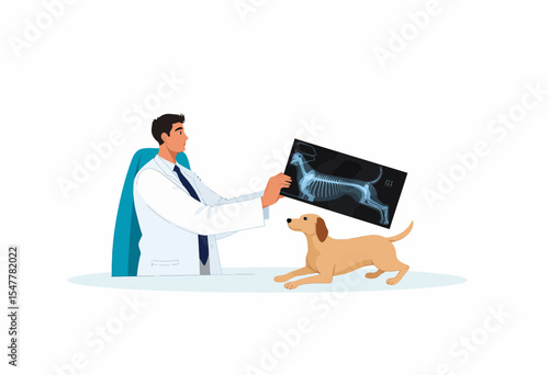 Veterinarian examining dog X-ray while sitting at table  