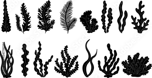 Silhouette set of seaweed and marine plants, underwater ocean flora vector illustration, black coral reef algae clipart, decorative botanical elements for aquatic design and print