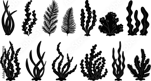Silhouette vector of underwater seaweed, ocean plant collection, black algae illustration, marine botanical elements, coral reef design, aquatic flora set for decoration, nature inspired clipart pack