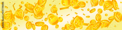 Korean won coins falling. Scattered gold WON