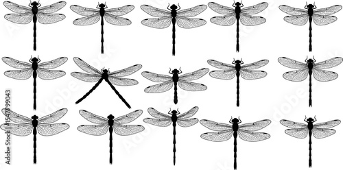 Detailed dragonfly silhouette set, black insect vector art, symmetrical wings pattern, natural wildlife design, entomology illustration, multiple species, elegant nature symbol