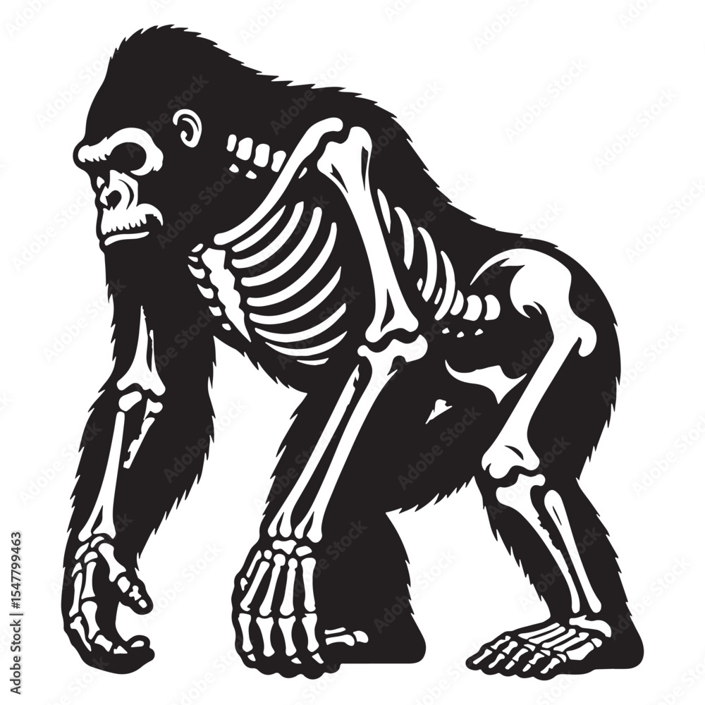 Fototapeta premium From bone to art – Gorilla skeleton silhouette interpreted through Gorilla skeleton vector – Gorilla skeleton illustration