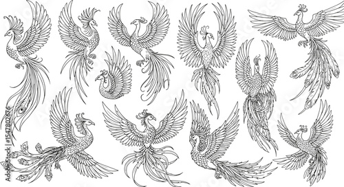 Phoenix bird vector illustration, hand-drawn mythical creatures, elegant feathers and wings, fantasy flying bird designs, isolated black and white artwork, perfect for tattoos, prints, decorations