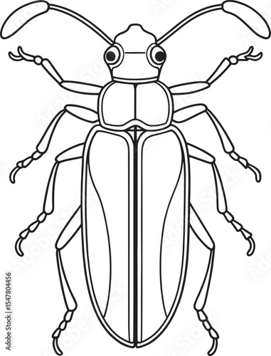 Longhorn beetle bug anatomy line art for kids learning activities