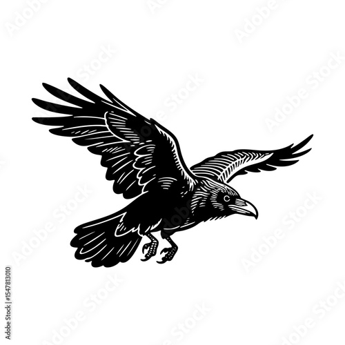 Crow flying sketch engraving black and white outline. Scratch board imitation.  illustrated in vintage line art style on a white background.