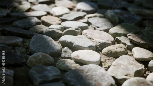 Cobblestone Pathway with Natural Stones Arranged in a Winding Pattern
