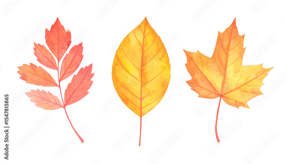 Fototapeta premium Watercolor illustration of autumn tree leaves