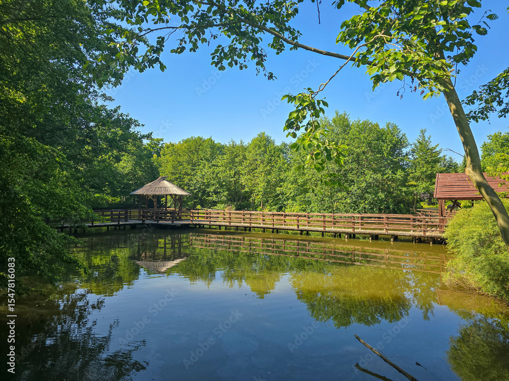 Fototapeta premium Scenic Lakeside Gazebo with Tranquil Water View
