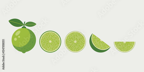 Vibrant Lime Illustration A Digital Depiction of Fresh Citrus