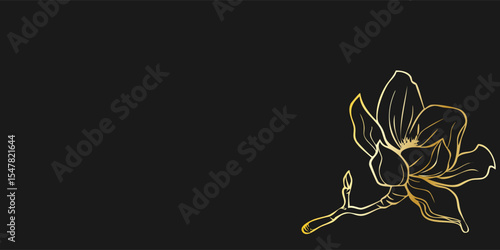Elegant gold line art illustration of magnolia flowers on black dackground. Vintage botanical design