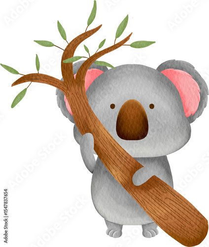 Photography watercolor koala
