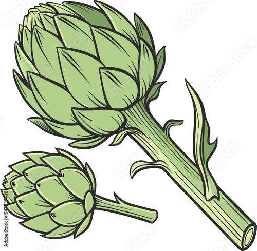 Artistic Illustration of Fresh Green Artichoke with Detailed Leaves and Stem Perfect for Culinary and Botanical Design