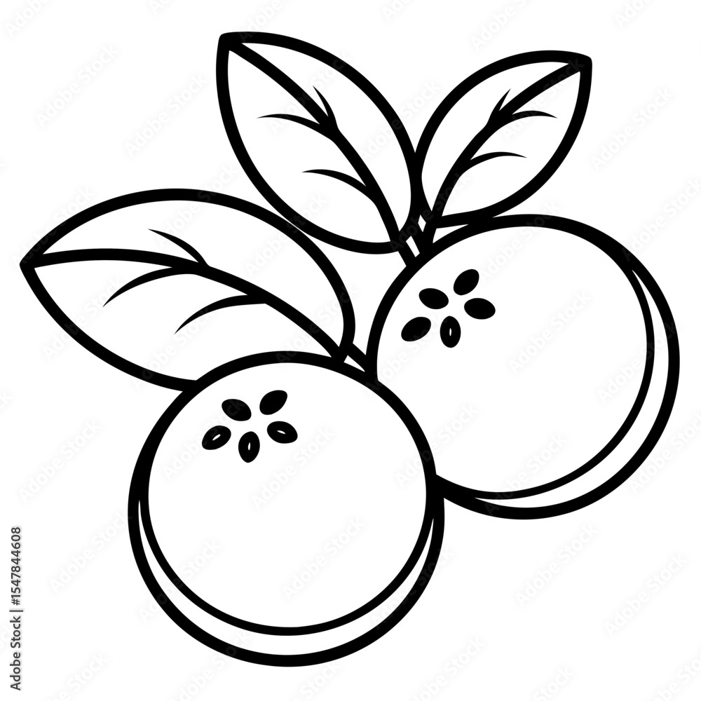 Obraz premium Blueberry line art vector