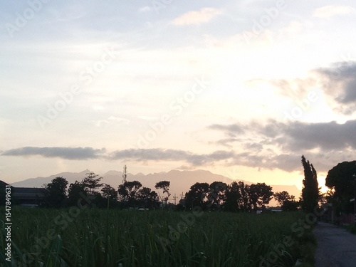 Pemandangan Alam Pedesaan Saat Fajar dengan Langit Berwarna Lembut