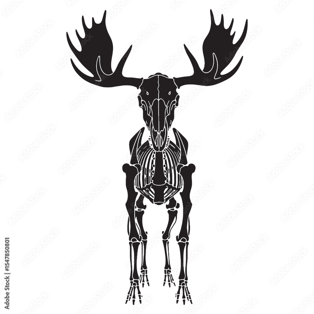Fototapeta premium A northern icon in line and form – Moose skeleton silhouette matched with minimalist Moose skeleton vector – Moose skeleton illustration