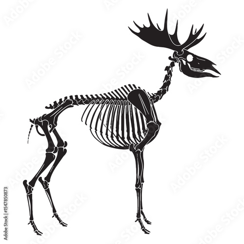 The anatomy of antlers and might – Moose skeleton silhouette crafted through artistic Moose skeleton vector – Moose skeleton illustration

