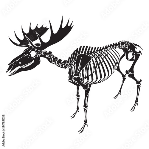 Symbol of the boreal forest – Moose skeleton silhouette outlined with elegant Moose skeleton vector – Moose skeleton illustration

