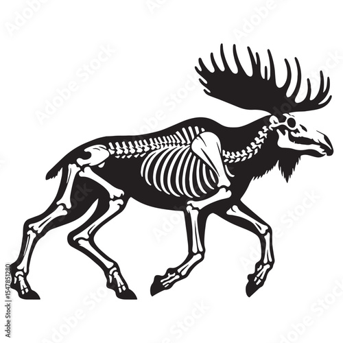 Echoes from the wild – Moose skeleton silhouette captured through a detailed Moose skeleton vector – Moose skeleton illustration

