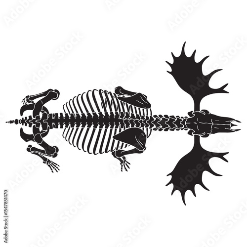 An antlered icon preserved – Moose skeleton silhouette in bold Moose skeleton vector – Moose skeleton illustration

