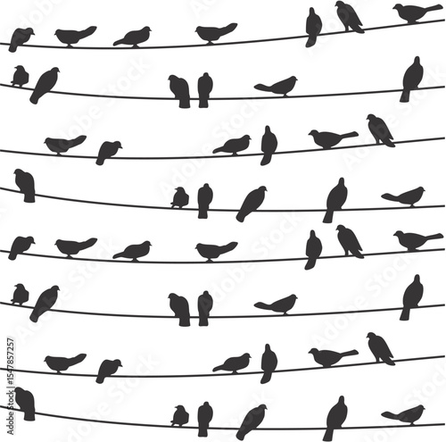 Bird on Wire Black Vector Illustration