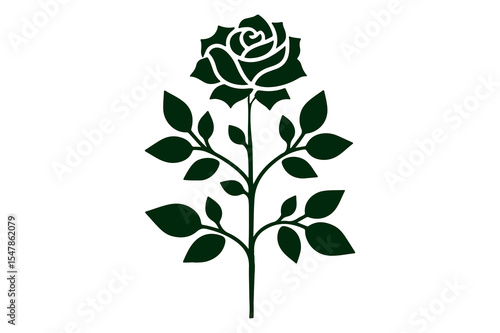 Single dark green rose silhouette isolated on white background