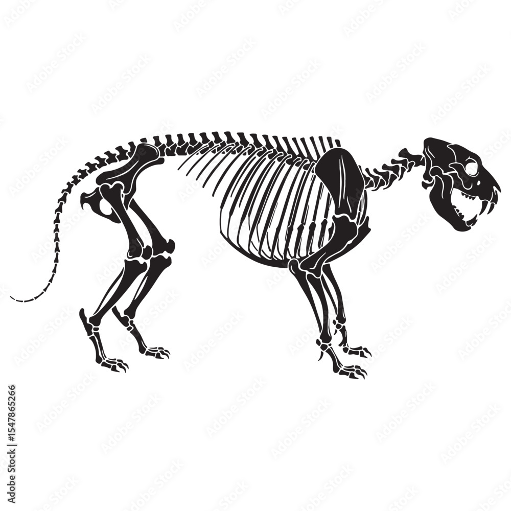 Fototapeta premium Fossil inspiration brought to life – Tiger skeleton silhouette with fine Tiger skeleton vector detail – Tiger skeleton illustration