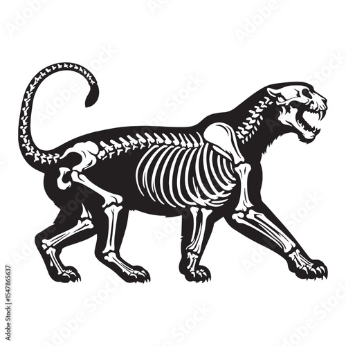 A silent predator preserved – Tiger skeleton silhouette rendered with care as Tiger skeleton vector – Tiger skeleton illustration

