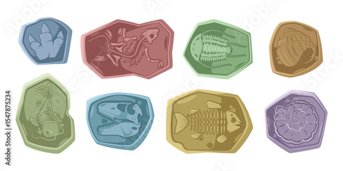 Skeletons of Jurassic dinosaurs and sea creatures, different types of bones in rocks. Vector extinct animal species. Aquatic beasts, prehistoric reptiles with fins. Fish and snails shells