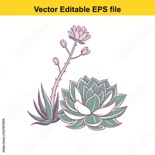 Watercolor Botanical Illustration of Succulents with Delicate Pink and Green Tones a Peaceful Nature Inspired Design with Clean Lines and Soft Colors for a Calming Effect