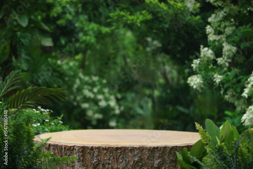 Wood stump podium stand with green tropical forest nature background.natural product pedestal wooden table top display.jungle paradise concept.