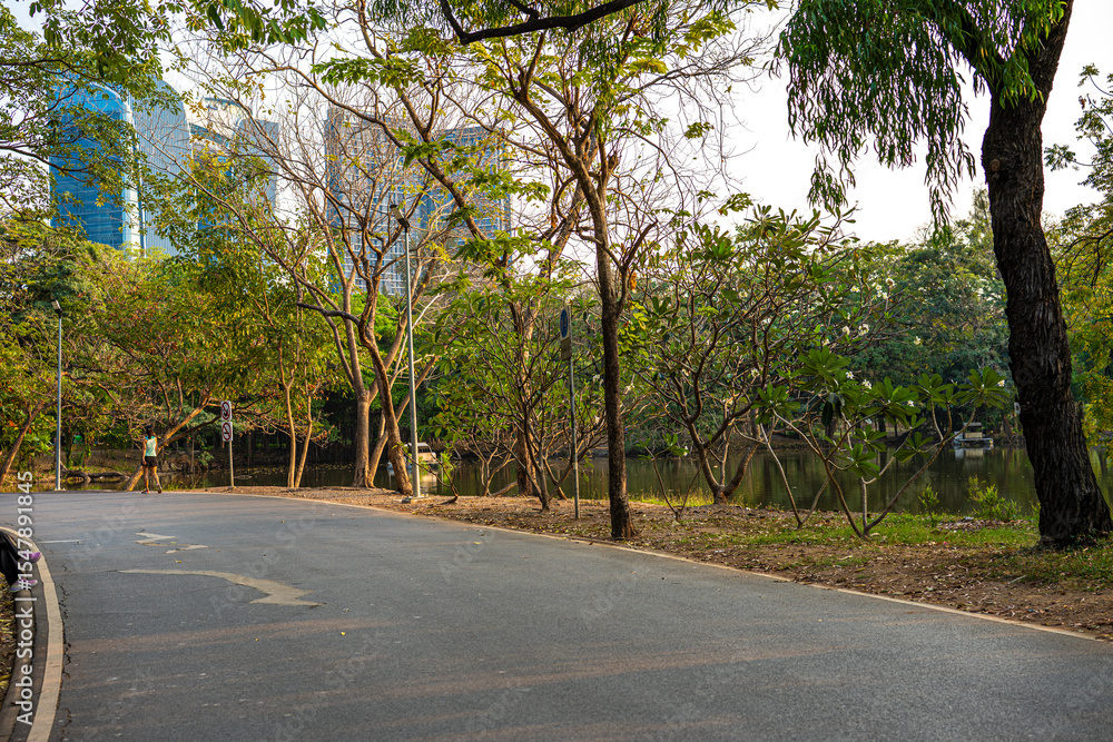 Obraz premium Walk pathway green tree forest city public park