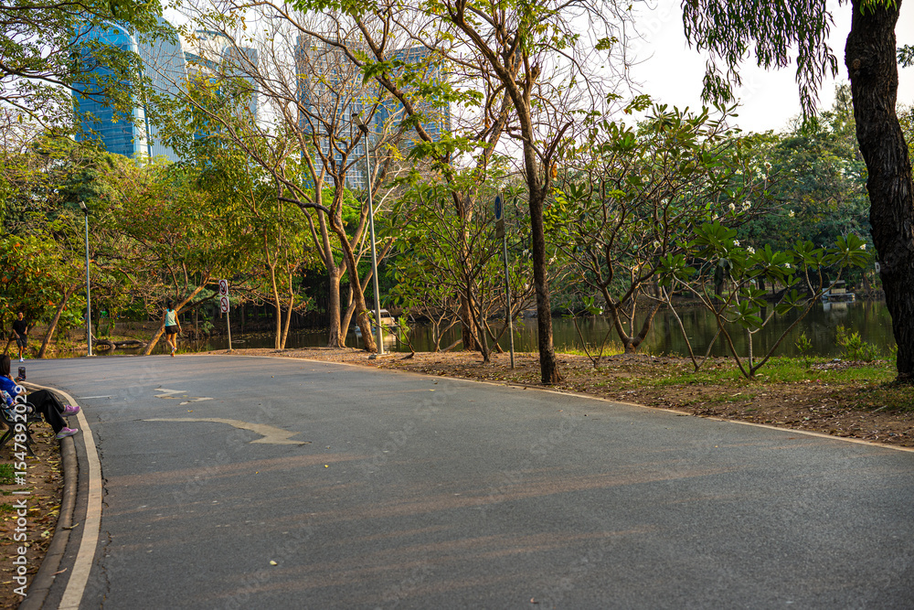 Obraz premium Walk pathway green tree forest city public park