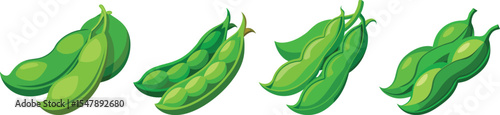 green beans set vector illustration
