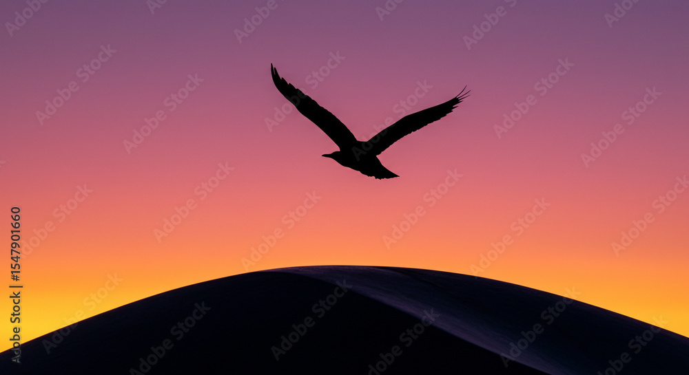 Naklejka premium Tranquil minimalist landscape featuring a bird in flight above a dune, bathed in a beautiful multi-colored sunset. 