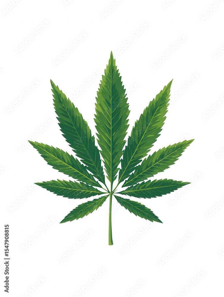 cannabis leaf on white background cannabis leaf on white background