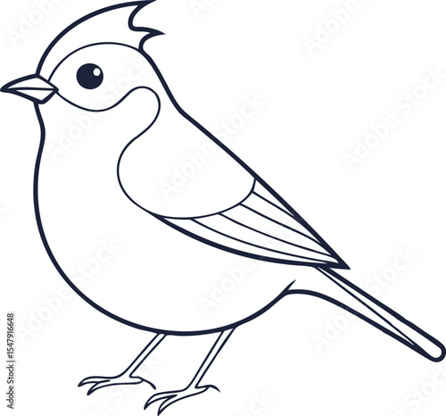 Elegant Kinglet Bird Line Art Vector Illustration