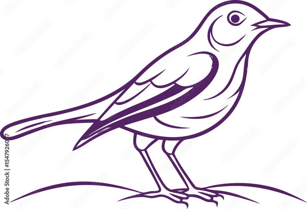 Obraz premium Elegant Pipit Bird Line Drawing Vector Art for Design
