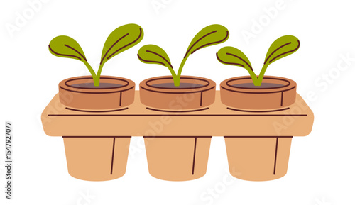 Seedling tray with potted sprouts