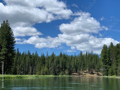 Peaceful Forest Lake with Pine Trees and Blue Sky