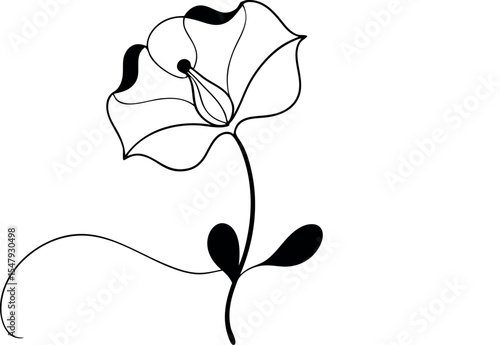Elegant Sweet Pea Flower Line Drawing Vector Illustration