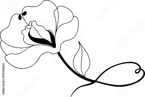 Elegant Sweet Pea Flower Line Drawing Vector Illustration