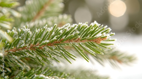 Wallpaper Mural Close-up of a frosted evergreen branch, showcasing delicate snowflakes on the needles, capturing the essence of winter and nature's beauty. Torontodigital.ca
