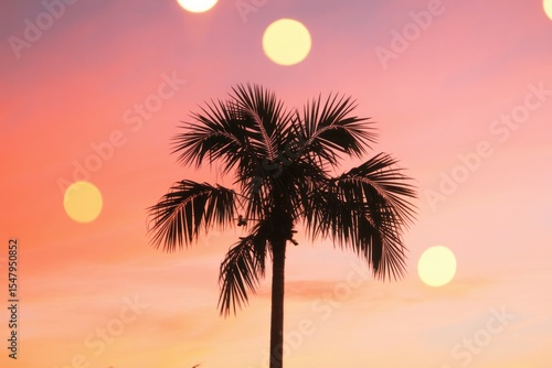 Silhouette of a Palm Tree at Sunset with Soft Pink Sky and Bright Bokeh Lights