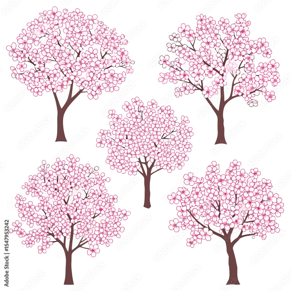 Fototapeta premium Cherry trees bloom, pink blossom nature