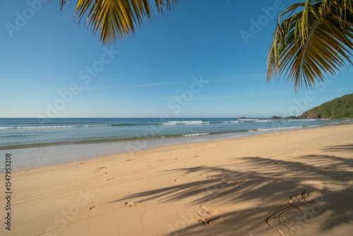Sunny Beach Scene Golden Sand Palm Tree Shadows Ocean Waves