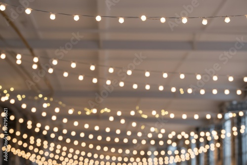 Warm White Fairy Lights Hanging in Rows Indoor Setting 1